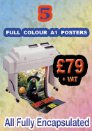 Large Posters